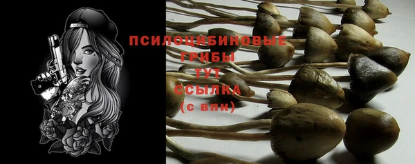 молекула духа Заводоуковск