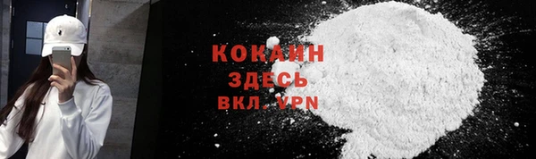 молекула духа Заводоуковск