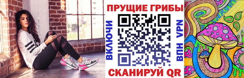 Псилоцибиновые грибы Psilocybe  Тогучин 